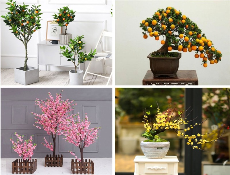 Tăng cây cảnh trang trí tết