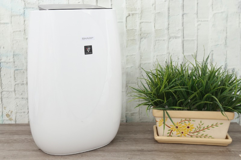 Máy lọc không khí quà tết biếu bố mẹ vợ