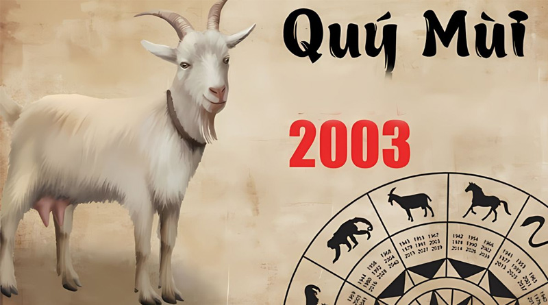 Cung mệnh của người tuổi Quý Mùi