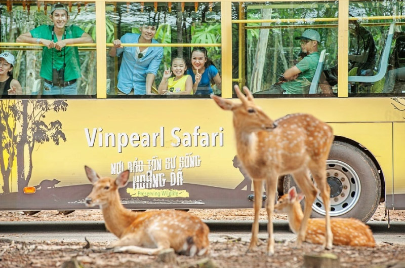 Vinpearl Safari Phú Quốc