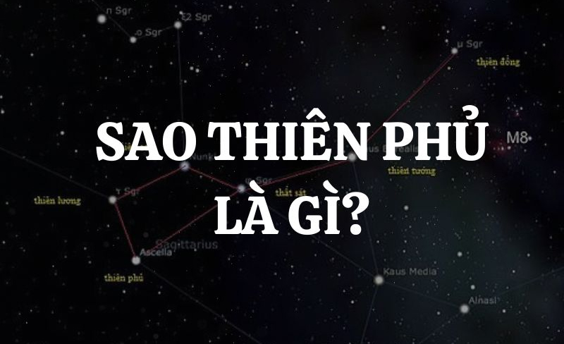 Sao Thiên Phủ thuộc nhóm sao Chính Tinh