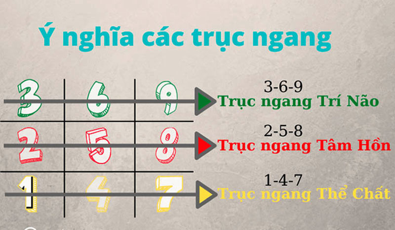 Số 0 không nằm trên biểu đồ ngày sinh