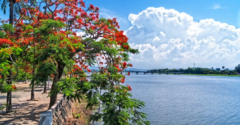 Sông Hương - Vẻ đẹp thơ mộng