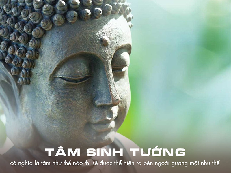 Tâm sinh tướng