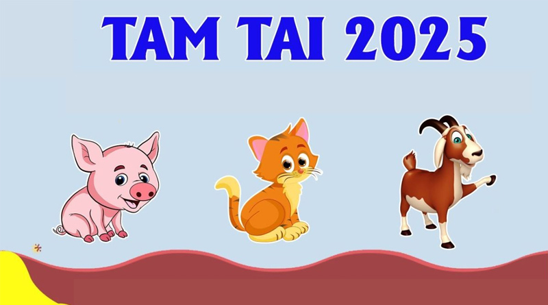 Năm 2025 là tam tai của Hợi Mão Mùi