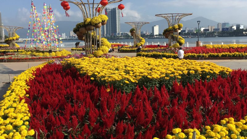 Dạo chợ hoa Tết đường 2/9 tại Đà Nẵng