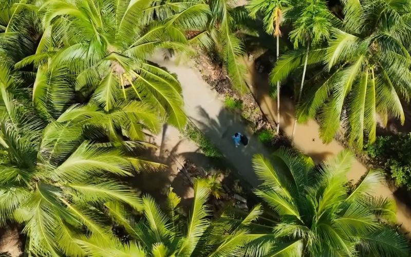 Về quê thăm gia đình trong dịp nhỉ tết dương lịch