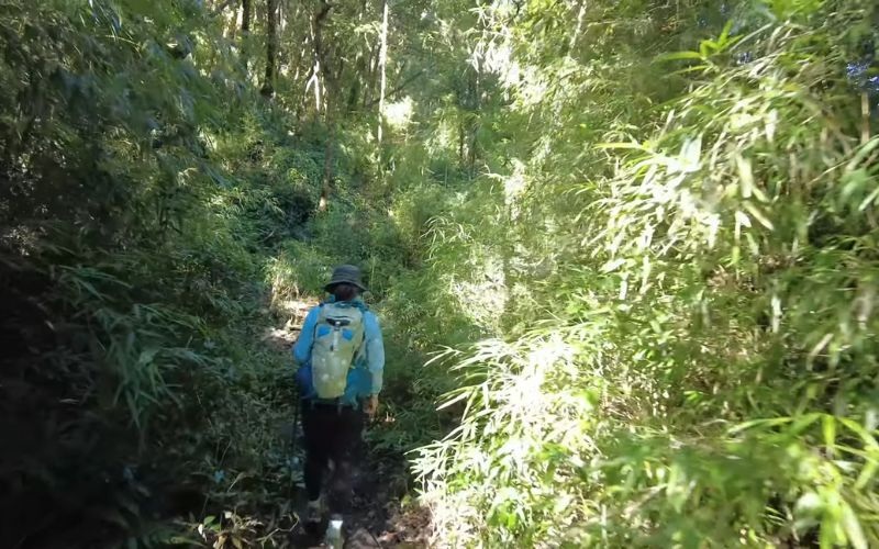 Tham gia hoạt động ngoài trời