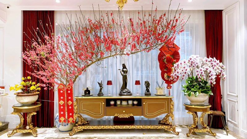 Trang trí chậu hoa, cây cảnh đón Tết