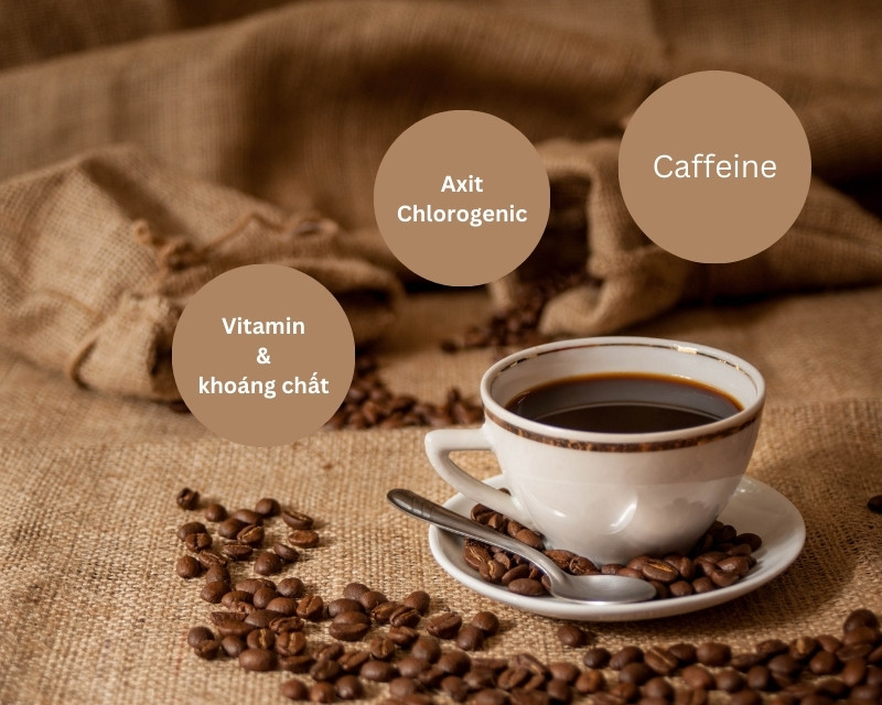 Trong cà phê chứa caffeine và một số chất có lợi khác