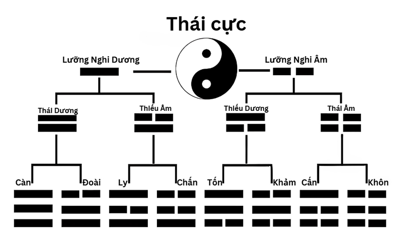 Từ Thái cực biến đổi thành Bát quái