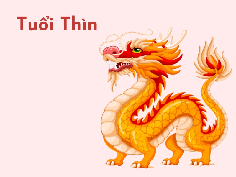 Tuổi Thìn cố gắng hơn trong cuộc sống 