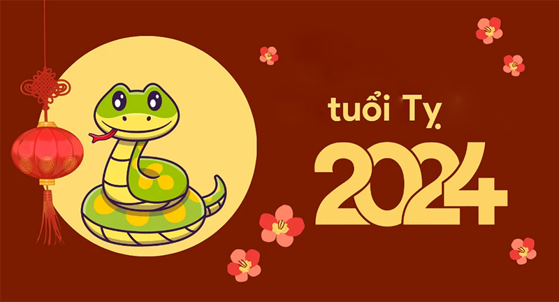 Tình hình tổng quan tuổi Tỵ năm 2024