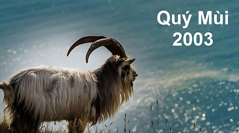 Tìm hiểu vận mệnh về tiền tài, tình duyên, sự nghiệp của Quý Mùi 2003