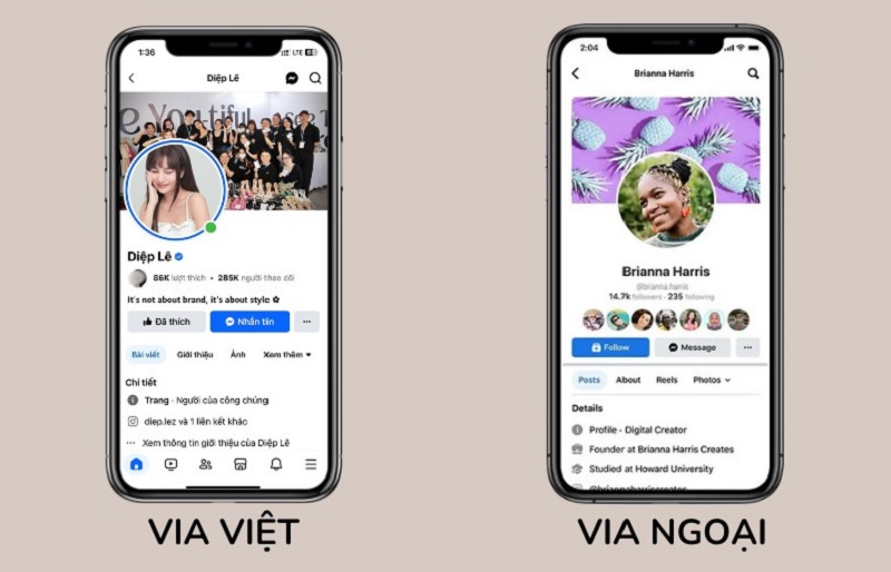 VIA Việt và VIA Ngoại