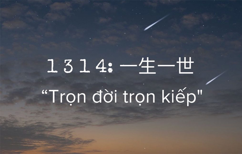 1314 mang ý nghĩa trọn đời trọn kiếp