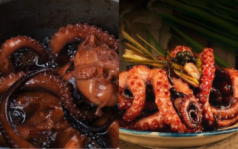 Bạch tuộc khìa nước dừa