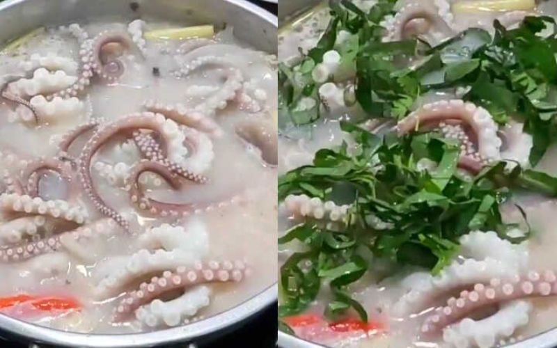 Bạch tuộc nhúng mẻ