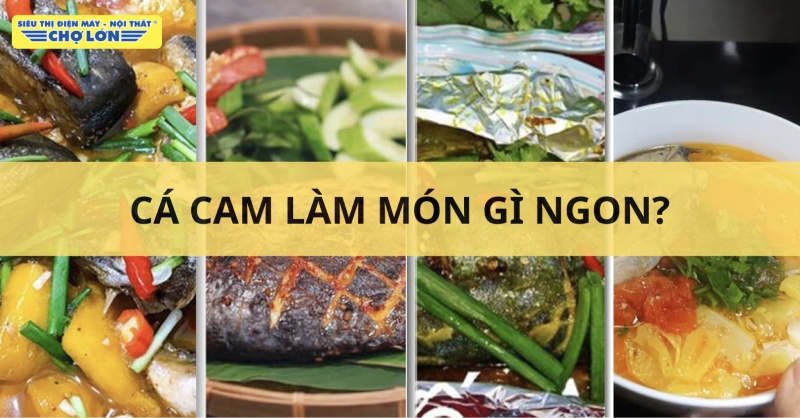 Tổng hợp các món ngon chế biến từ cá cam