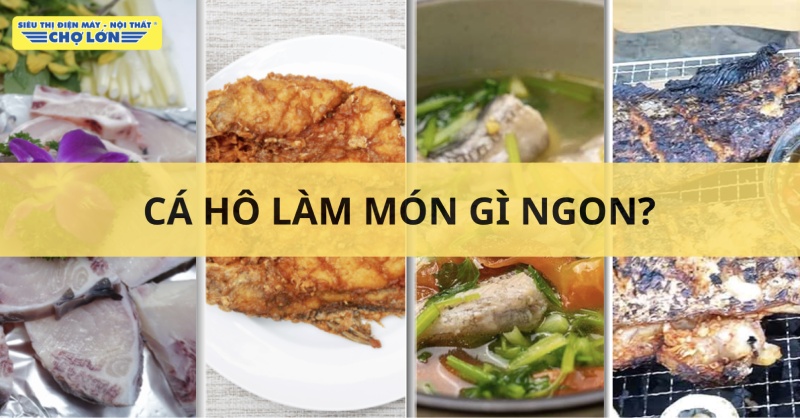 Tổng hợp những món ăn ngon chế biến từ cá hô
