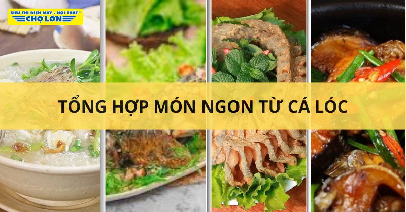 Cá lóc làm món gì ngon