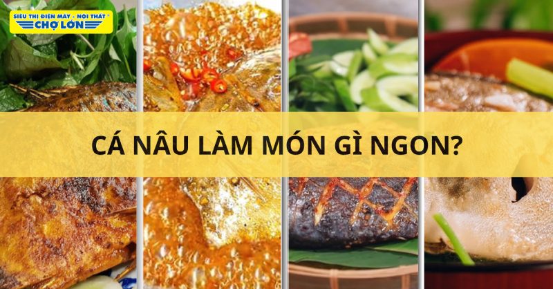Các món ngon làm từ cá nâu