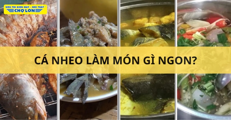 Tổng hợp các cách chế biến cá nheo