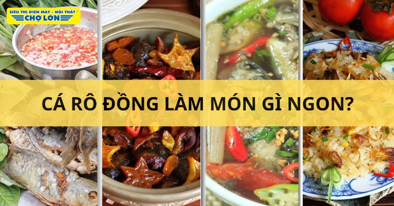 Các món ngon chế biến từ cá rô đồng