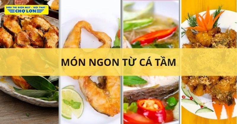 Các món ăn chế biến từ cá tầm