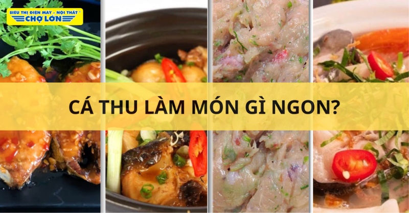 Tổng hợp các món ngon chế biến từ cá thu