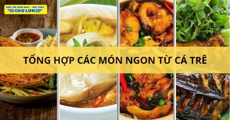 Các món ăn từ cá trê
