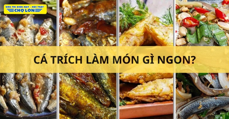 Tổng hợp các món ngon chế biến từ cá trích