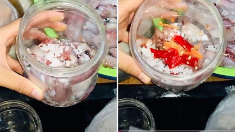 Cho mực và muối vào hũ để bắt đầu quá trình muối mắm