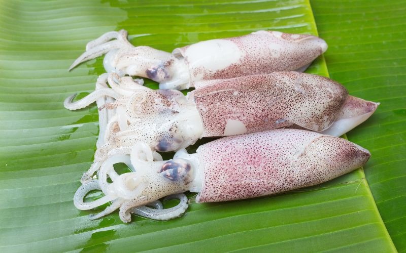 Bí quyết chọn mua mực tươi ngon