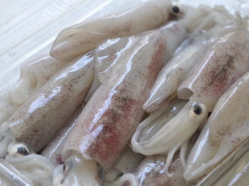 Nguyên liệu mực sữa tươi sống sơ chế sạch trước khi chế biến