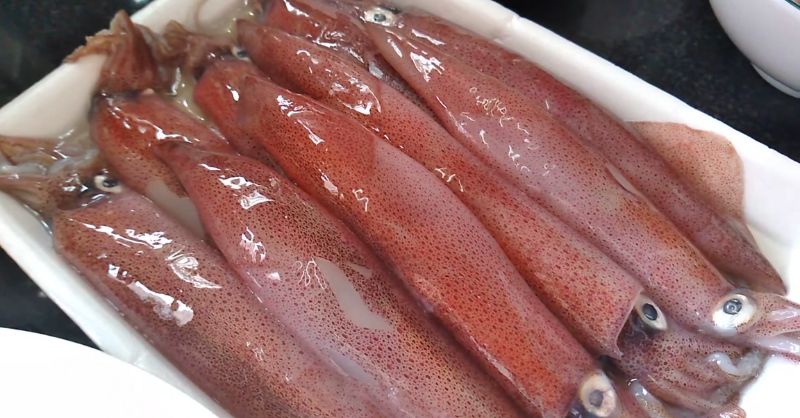 Các con mực tươi đỏ