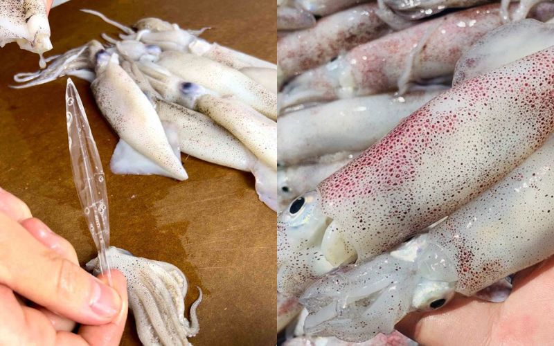 Sơ chế mực trứng