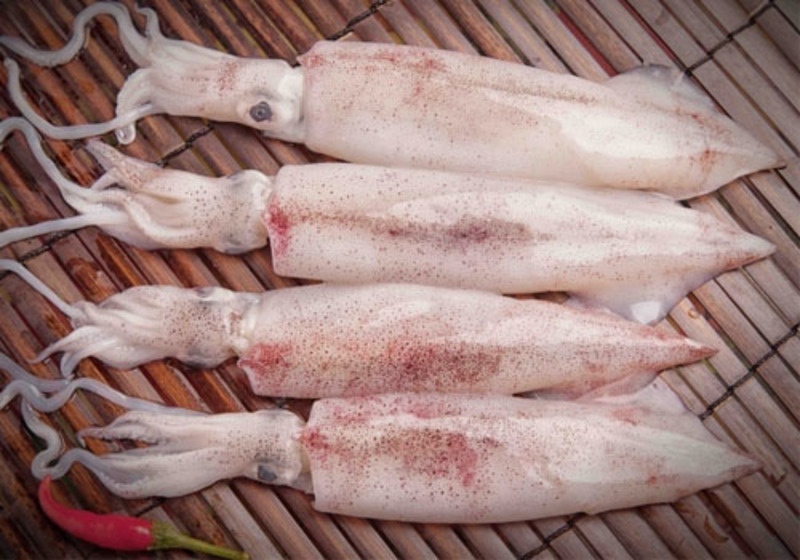 Mực tươi nguyên con làm nguyên liệu cho món mực xào mướp