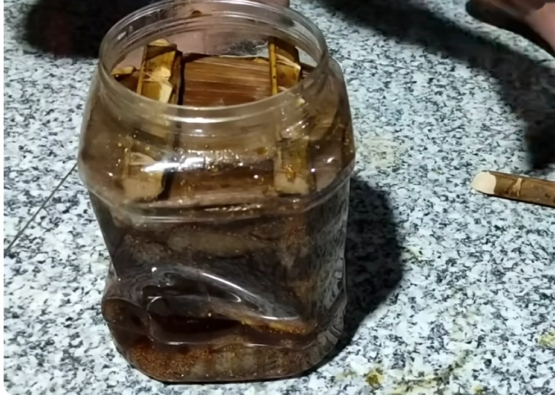 Cho cá rô phi vào hũ ủ chượp