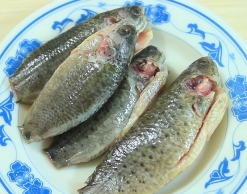 Sơ chế và làm sạch cá rô
