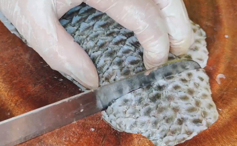 Cá rô phi được sơ chế và cắt khúc