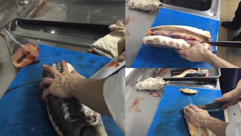 Cá tầm được sơ chế sạch sẽ