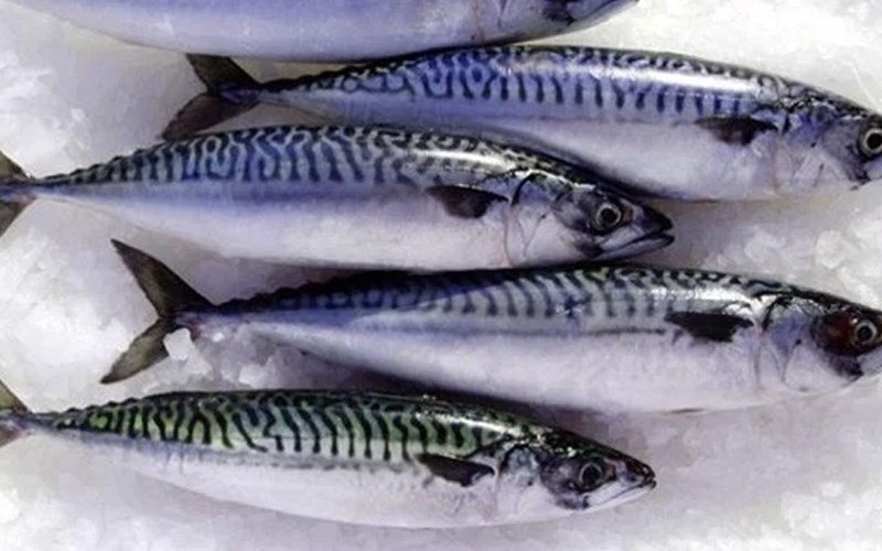 Nguyên liệu làm cá thu kho thơm gồm cá tươi và dứa chín