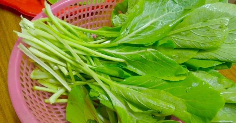 Sơ chế rau cải