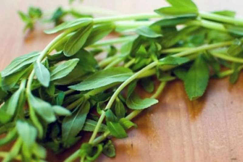 Ngò gai bỏ gốc và rửa sạch