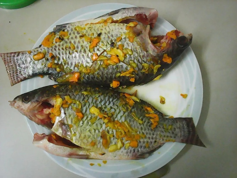 Cá rô phi ướp nghệ và gia vị