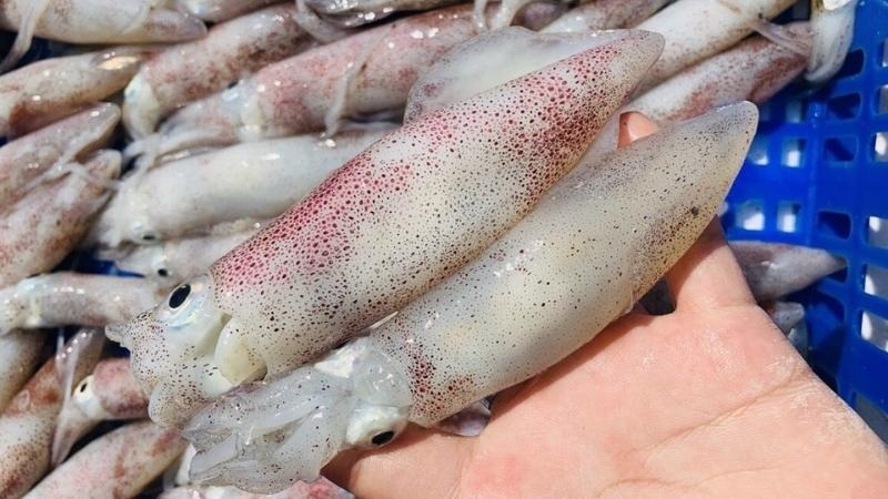 Cách chọn mực tươi ngon nấu hủ tiếu