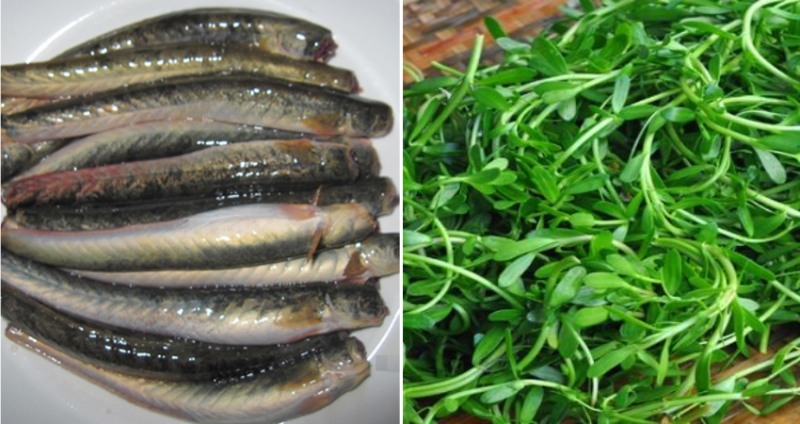 Sơ chế cá kèo và rau đắng