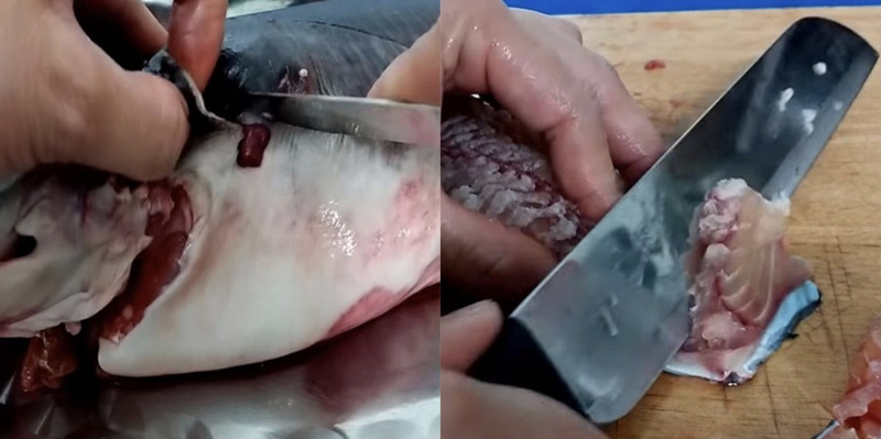 Sơ chế và phi lê cá trê