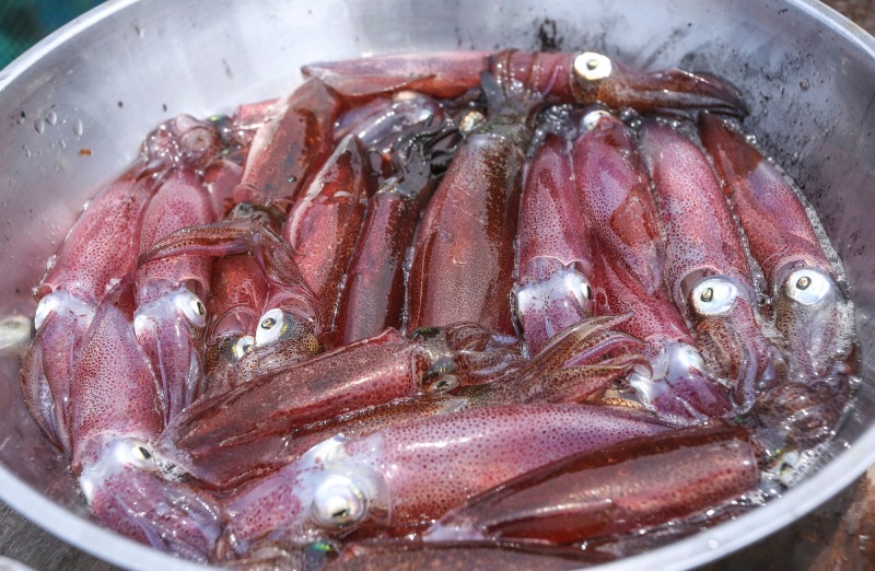 Mực tươi rửa sạch, để nguyên con